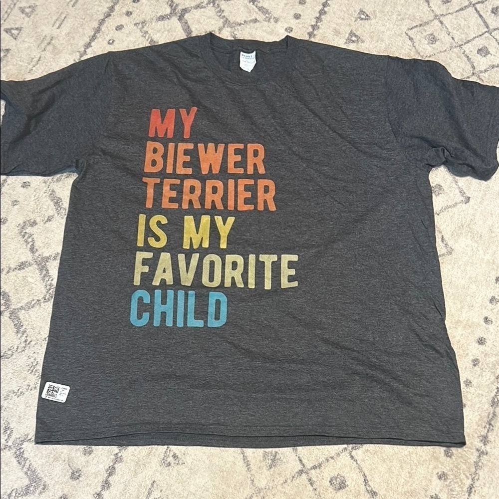 Adult Graphic Tee - Charcoal with Multicolor Print